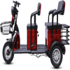 Picture of 2-seater electric bike with leather seats and three wheels