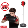 Picture of Boxing game